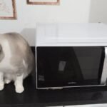 Micro-ondas Bmo23 20l Limpa Fácil 1100w Britânia