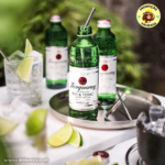 Gin & Tonic Tanqueray Premix 275ml