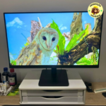 Monitor Gamer LG 24MS500-B 24 Full HD 100Hz