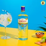 GORDON'S Gin 750ml