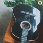 Giannini N-14Bk Violão Acústico Preto