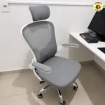Cadeira Ergonômica Giratória Boston G100 Mesh